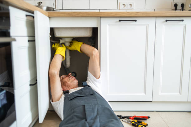 Best Plumbing Inspection Services  in Barnum Island, NY